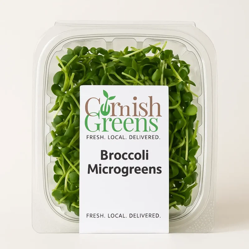 Broccoli microgreens in eco-friendly packaging – freshly harvested, nutrient-rich, and grown locally by Cornish Greens
