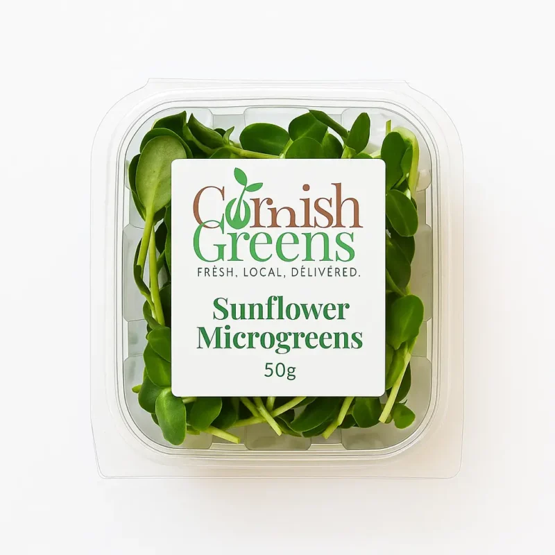 Sunflower microgreens freshly harvested in Cornwall on a tray with green leaves and thick white stems